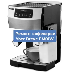 Замена дренажного клапана на кофемашине Yoer Breve EM01W в Воронеже
